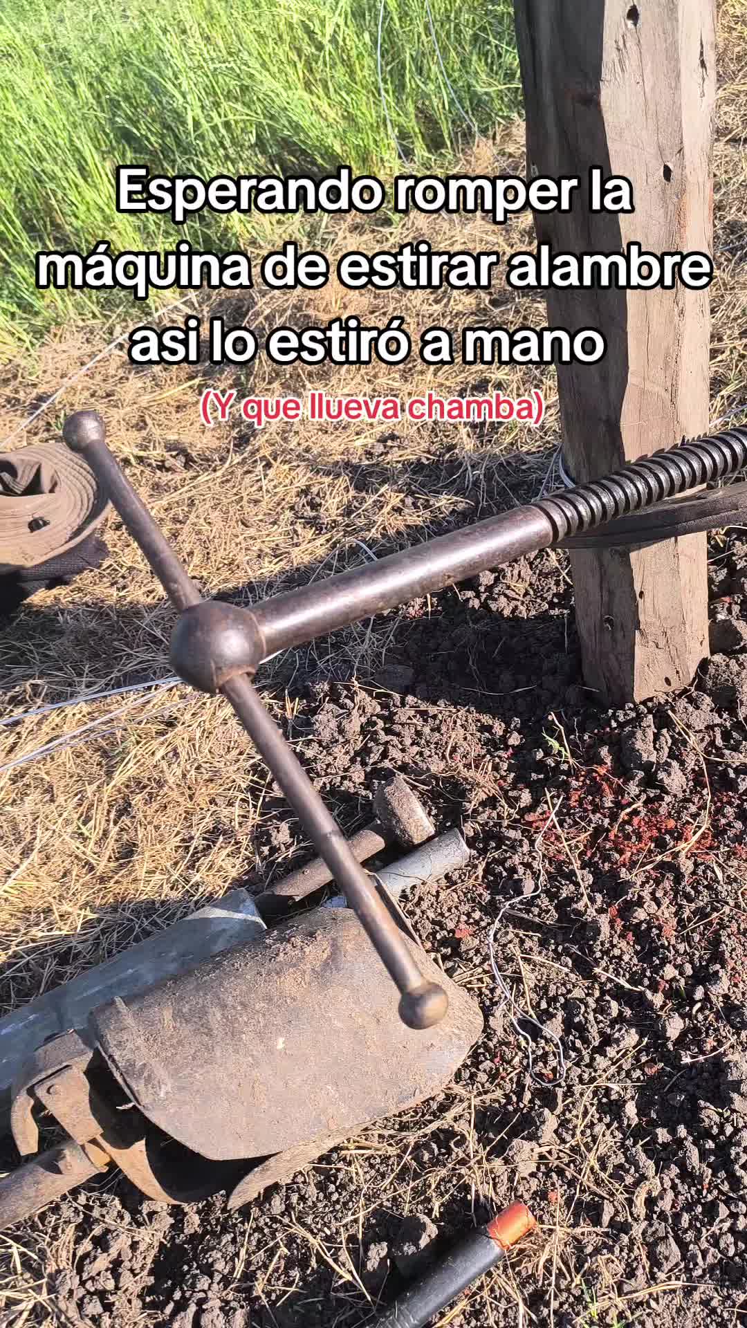 @Frann🧃
