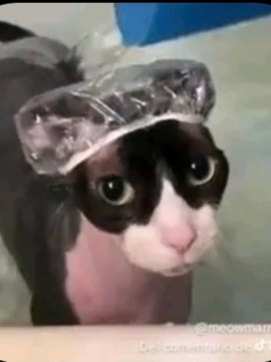 @El_gian_4
