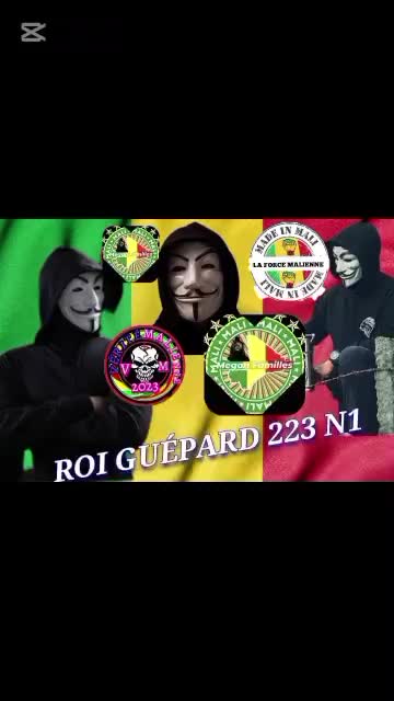 @ROI GU&Eacute;PARD N&deg;1 223 🇲🇱