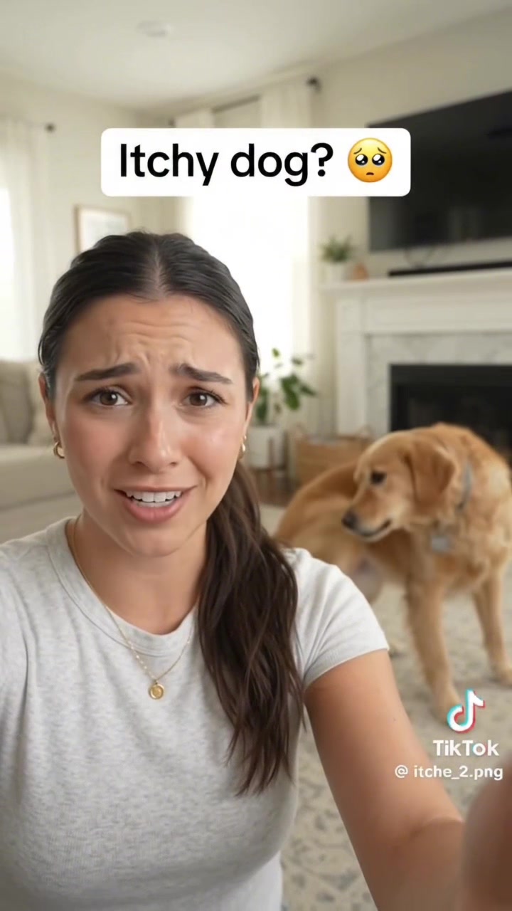 @Sunnie viral finds ᛑᛗᛛ scentsy