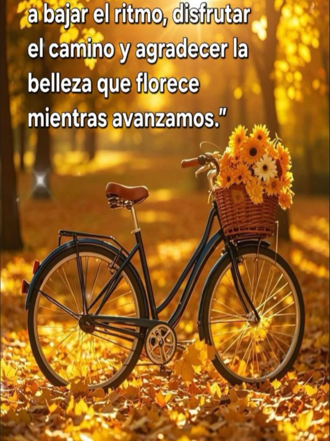 @✨Carlos 👍✨