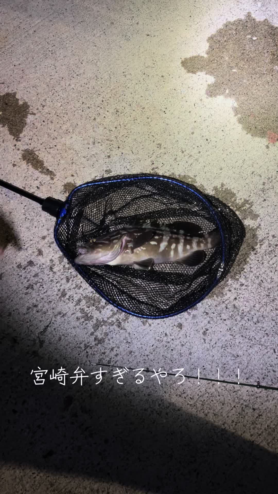 @ae111.168