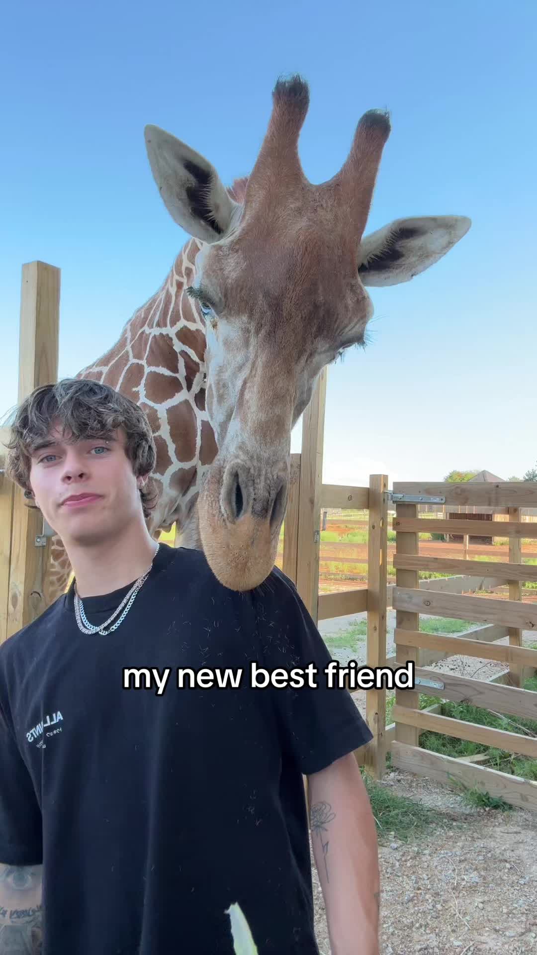 @Gavin Magnus