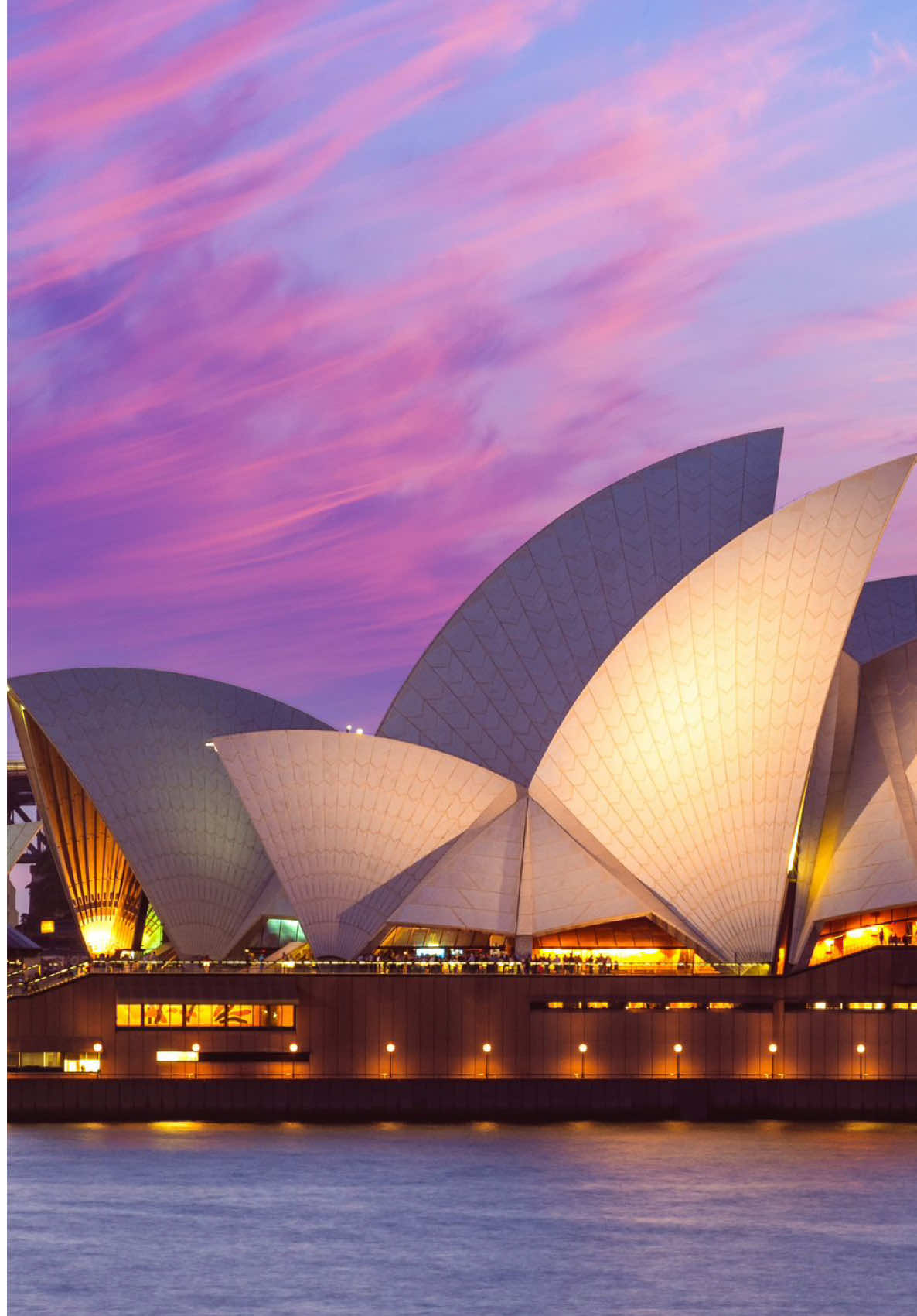 @Dietitians Beyond Borders