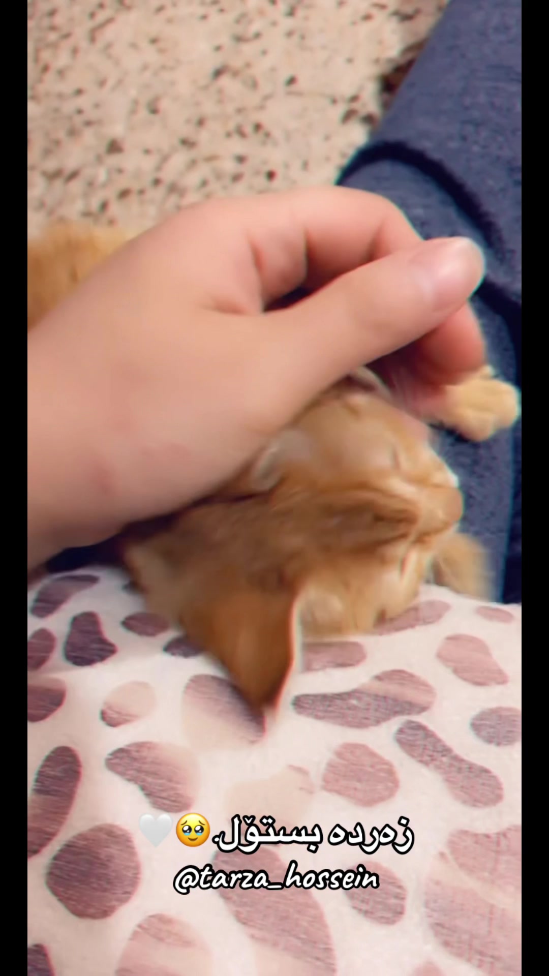@تەرزە حسێن