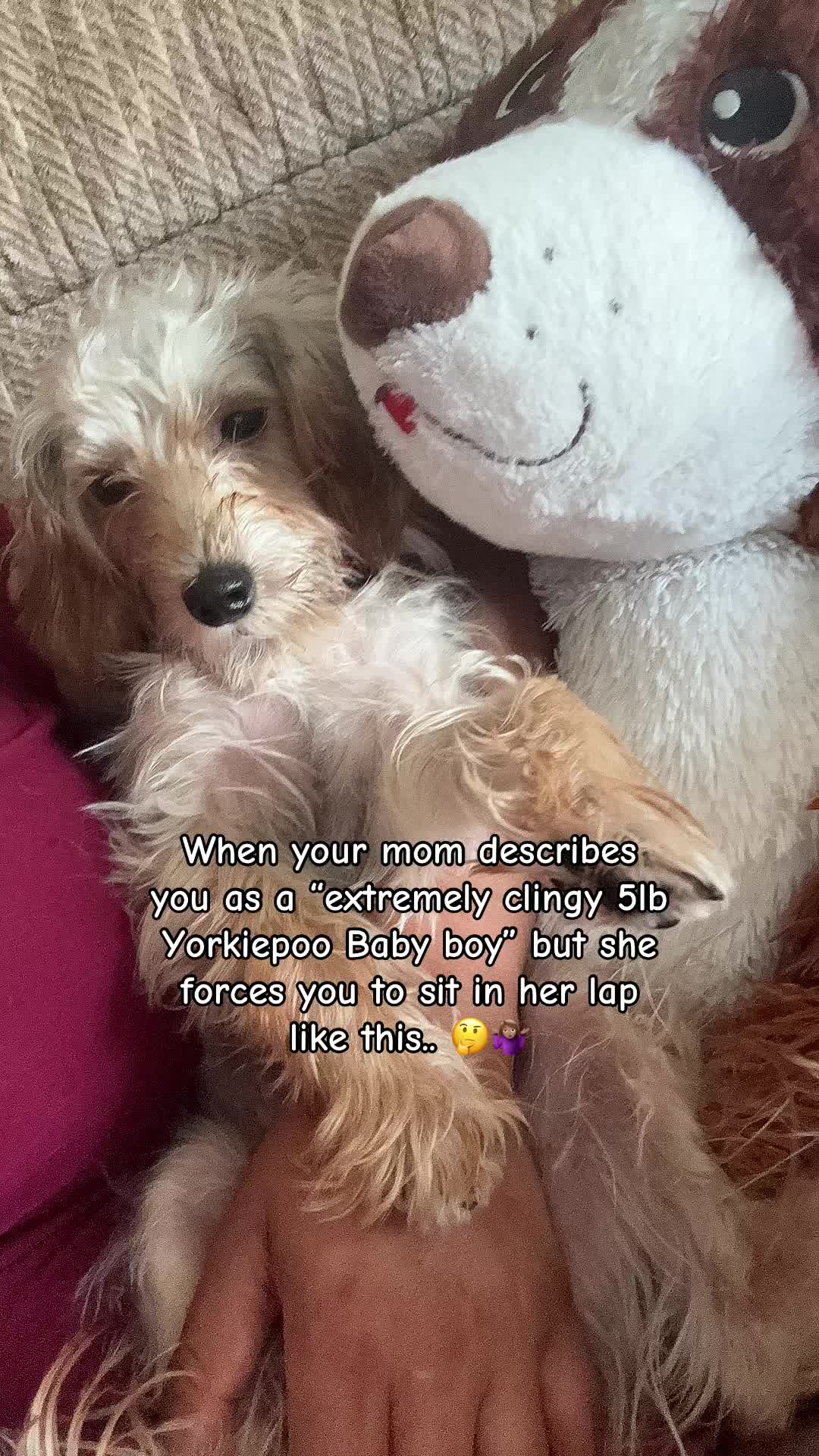 @Jenyyyy