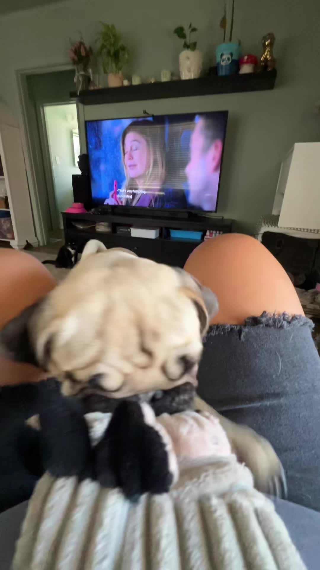 @Officialpugdad