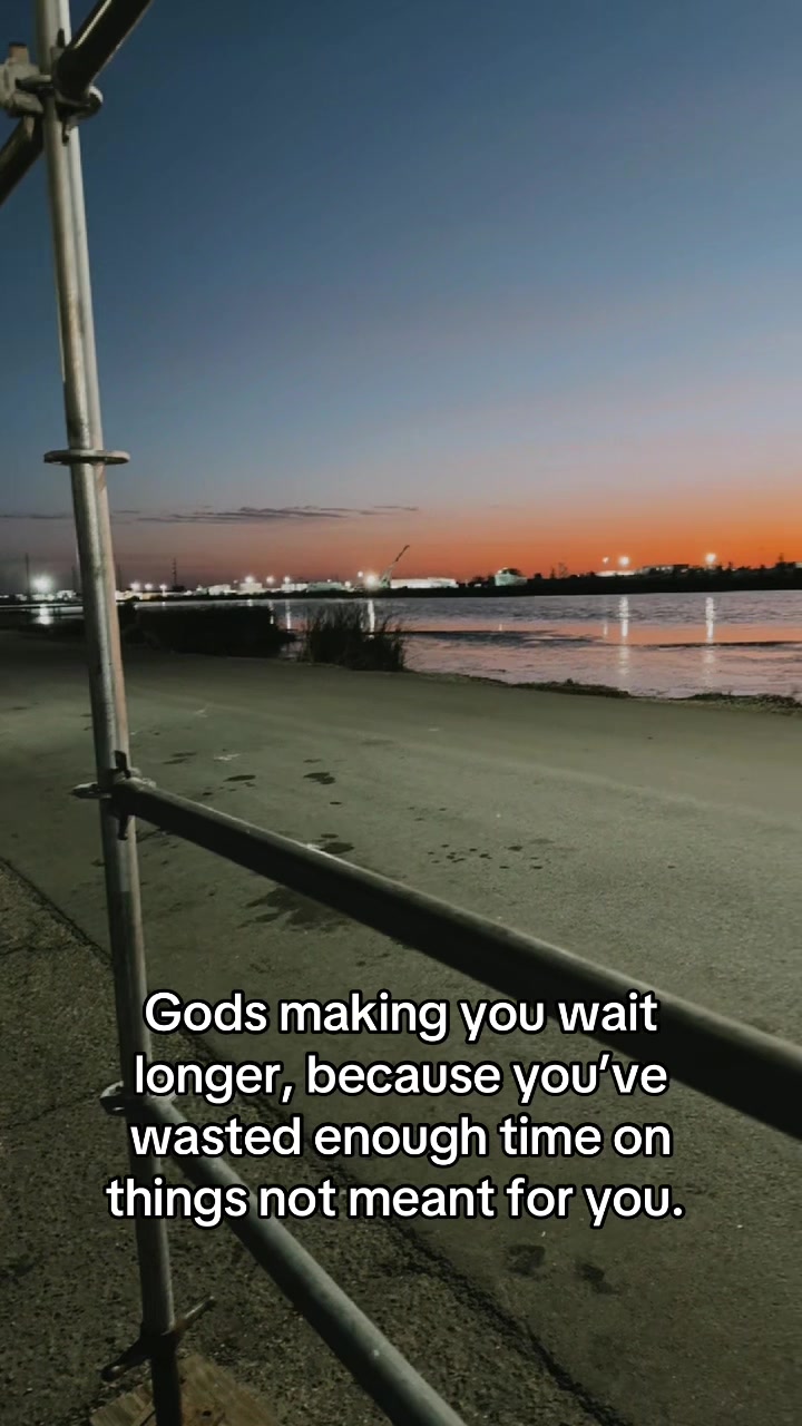 @Shaine Ferrier