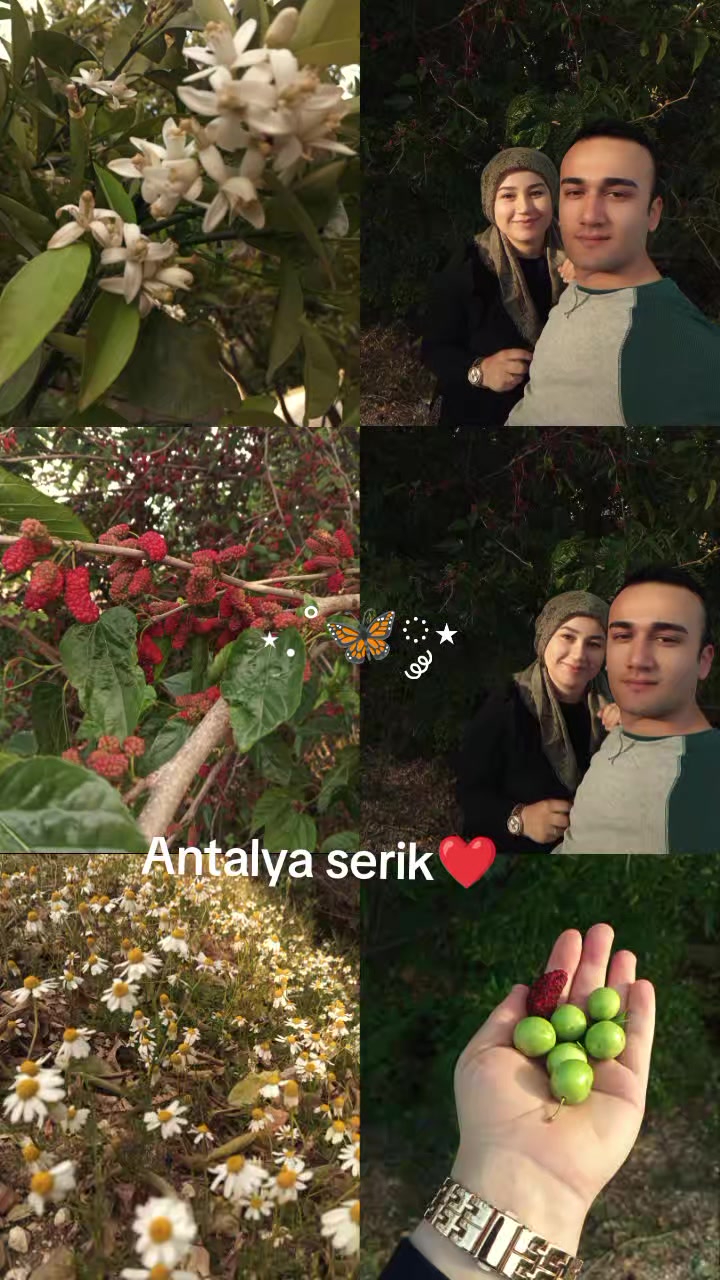 @bernamehmet