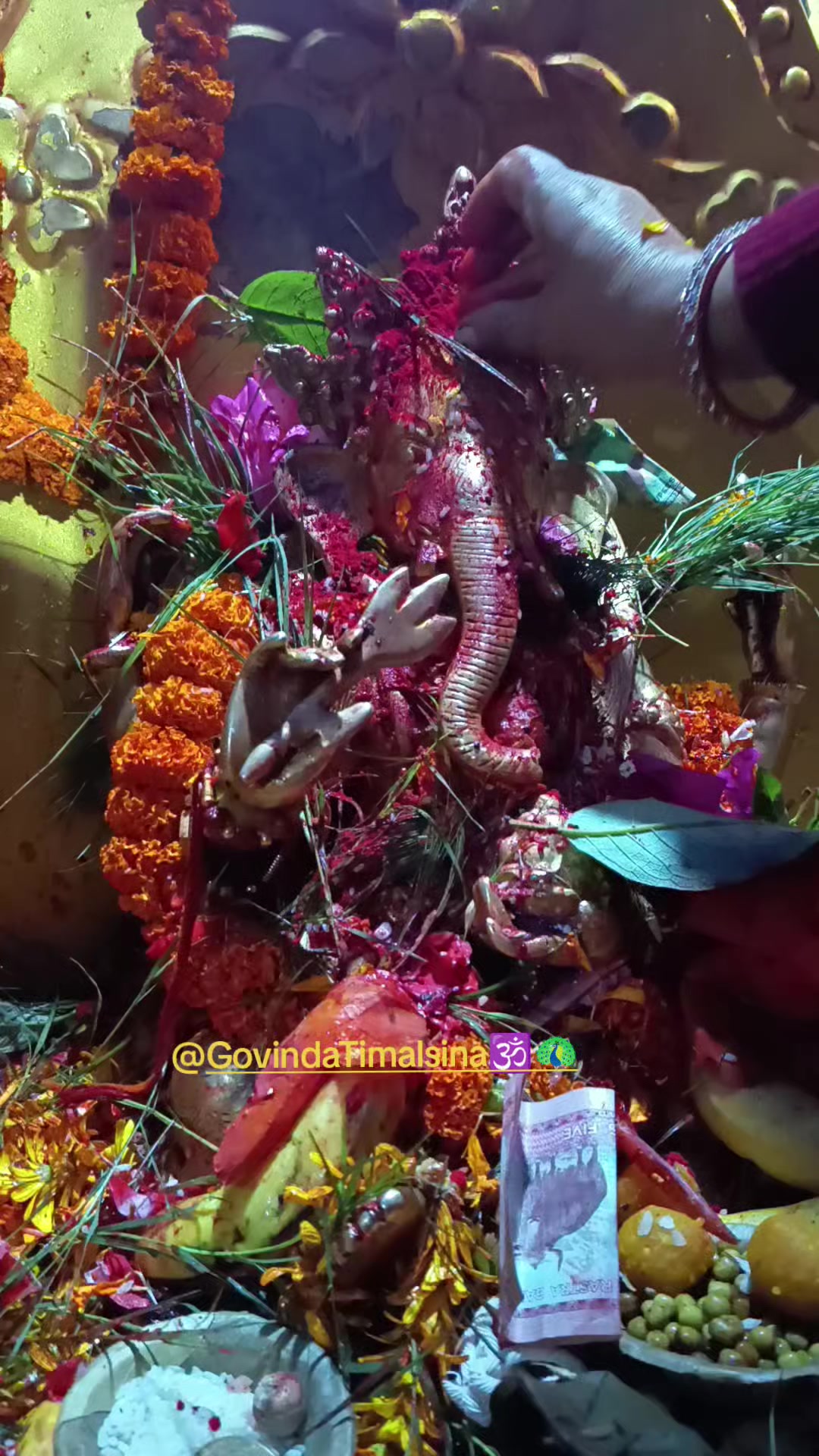 @Govinda Timalsina🕉🦚