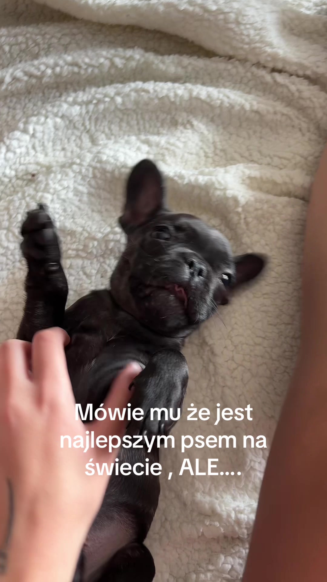 @JulkaKG