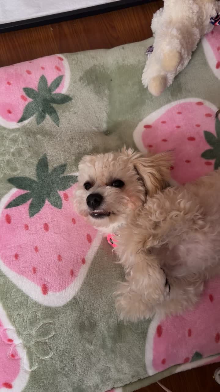 @Blanca🍓
