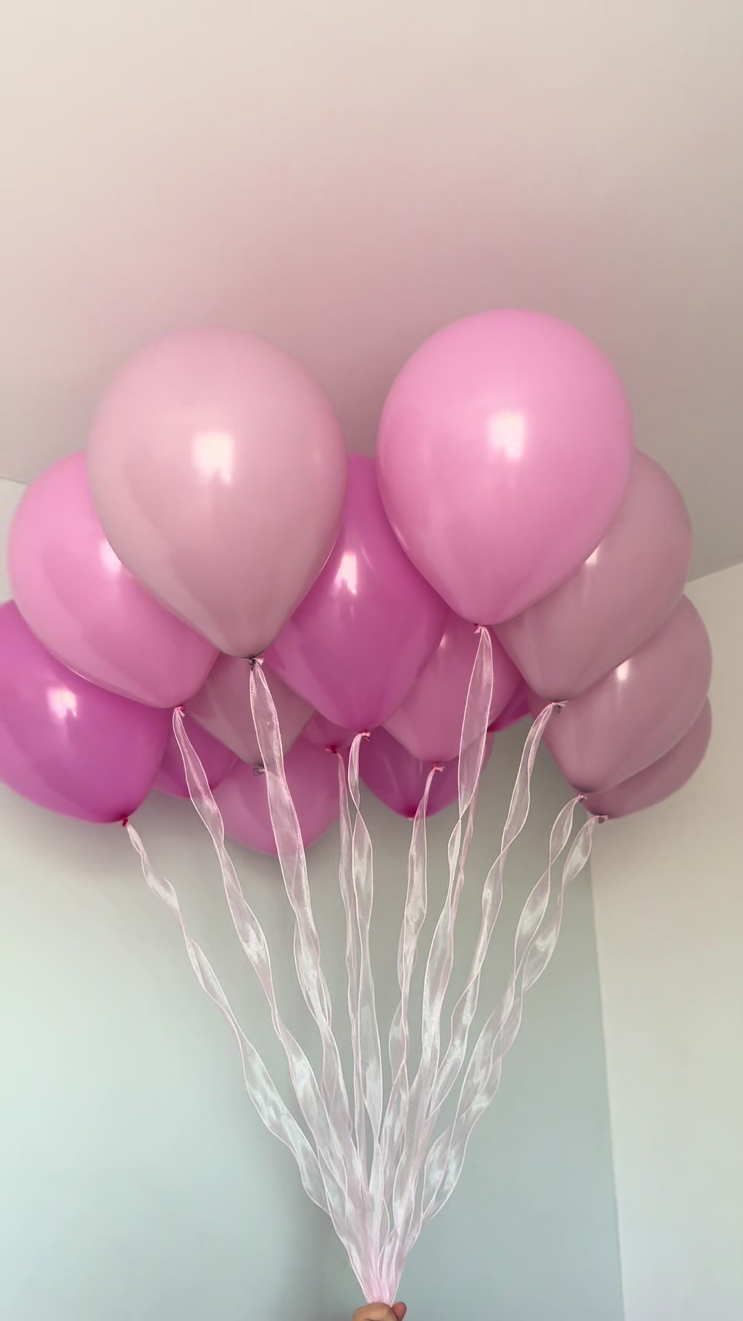 @Шары BALONY WROCLAW
