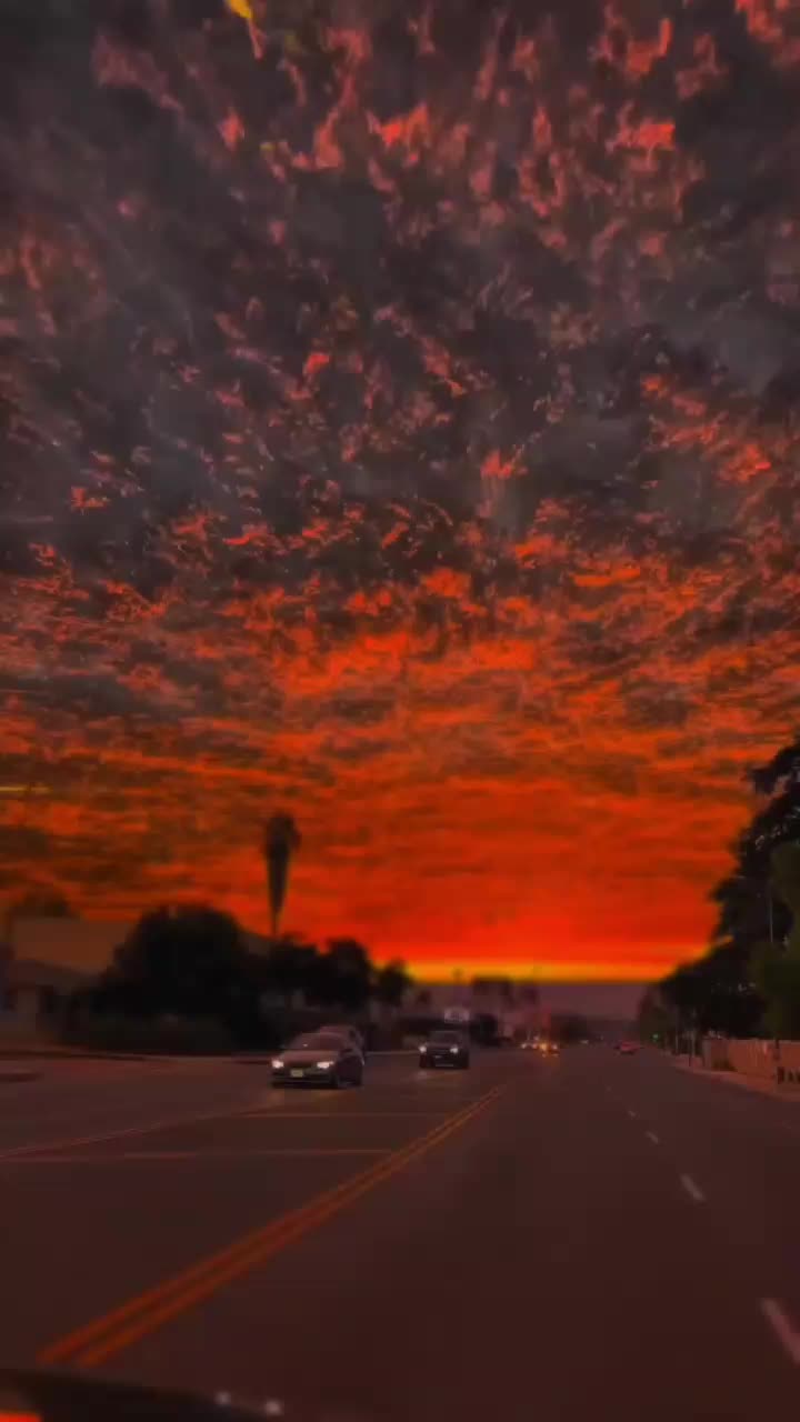 @𝗰𝗮𝗺 𝗹𝘆𝗿𝗶𝗰𝘀 🎧✓
