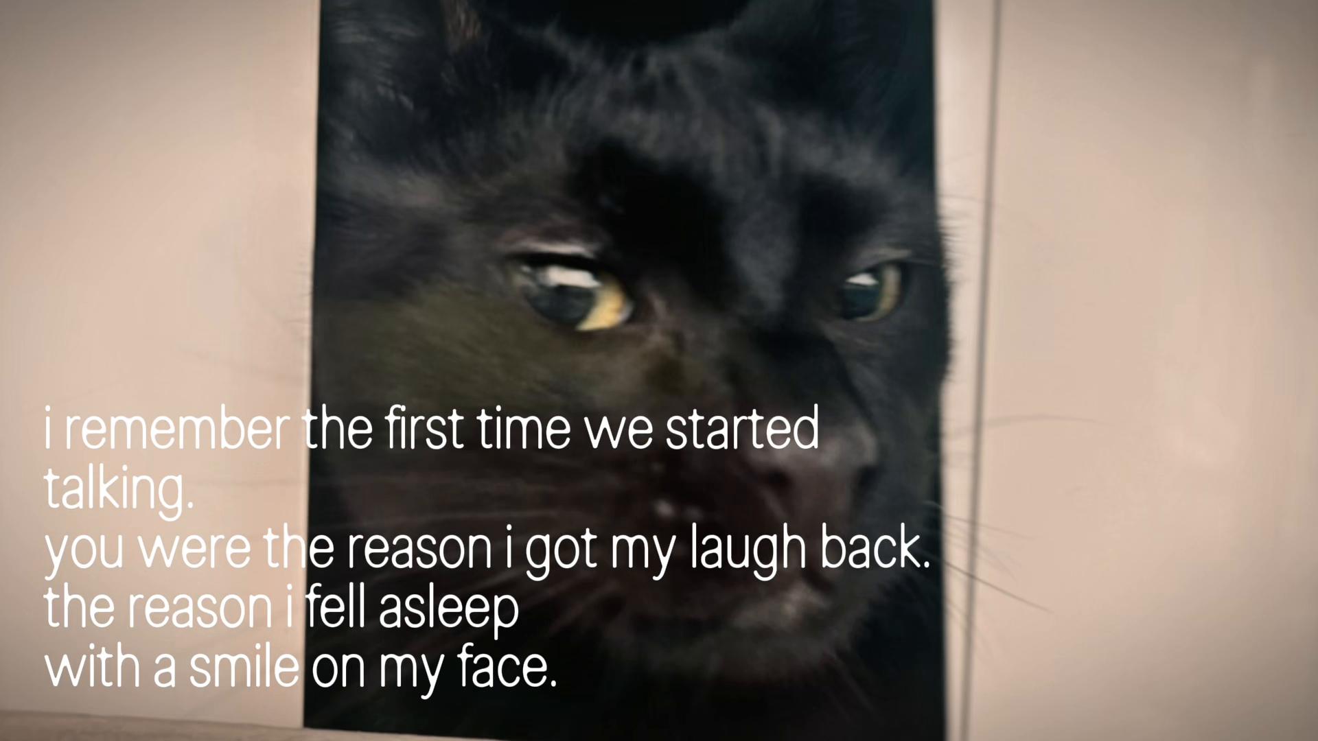 @CHARMANDER THE CAT!!