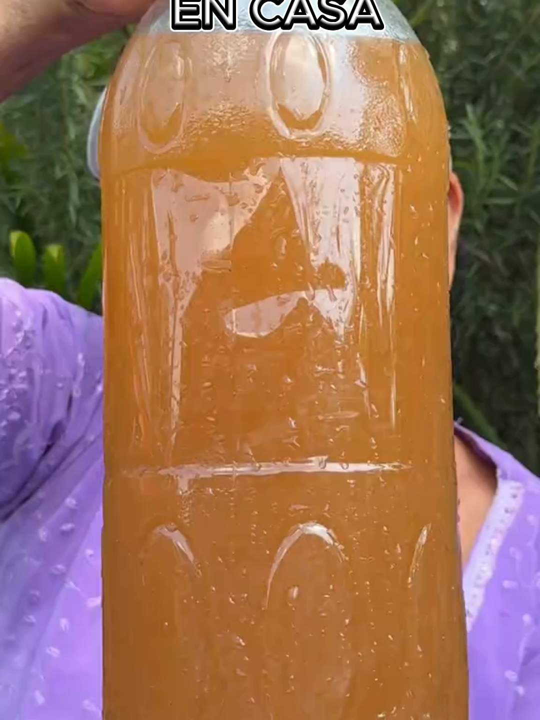 @Tu jard&iacute;n en casa