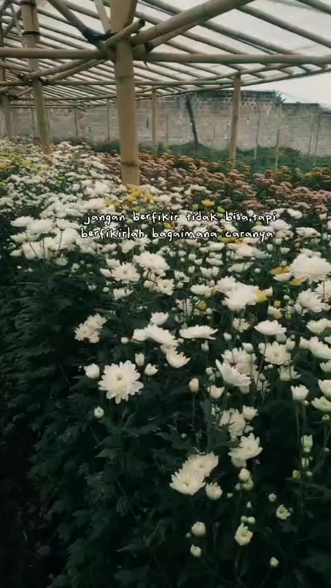 @𝐌𝐞𝐤𝐚𝐫 𝐒𝐞𝐧𝐣𝐚