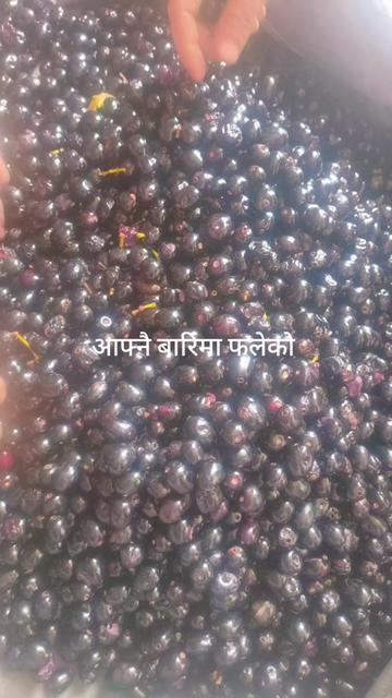 @Nisha Rana mgr