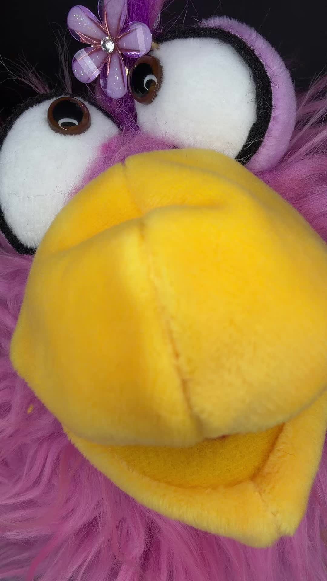 @CrAzYpUpPyS