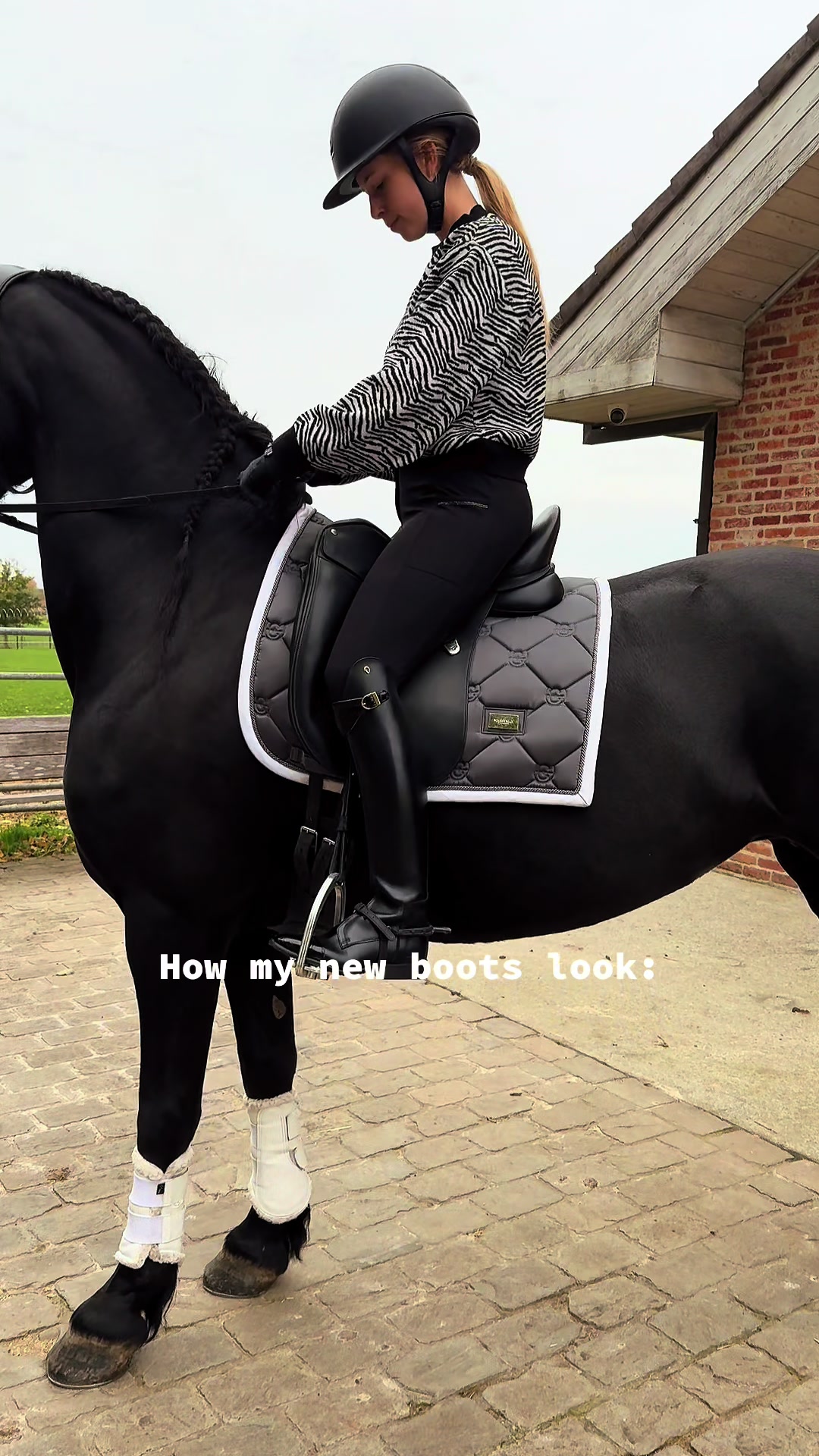 @Phoebe Tack Dressage