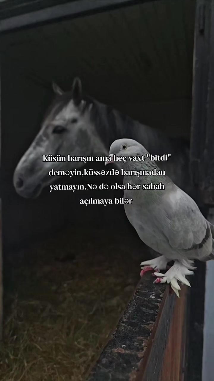 @๐ฌ ๐บ ๐ณ ๐ฆ ๐พ ๐ฝ ๐ฉ