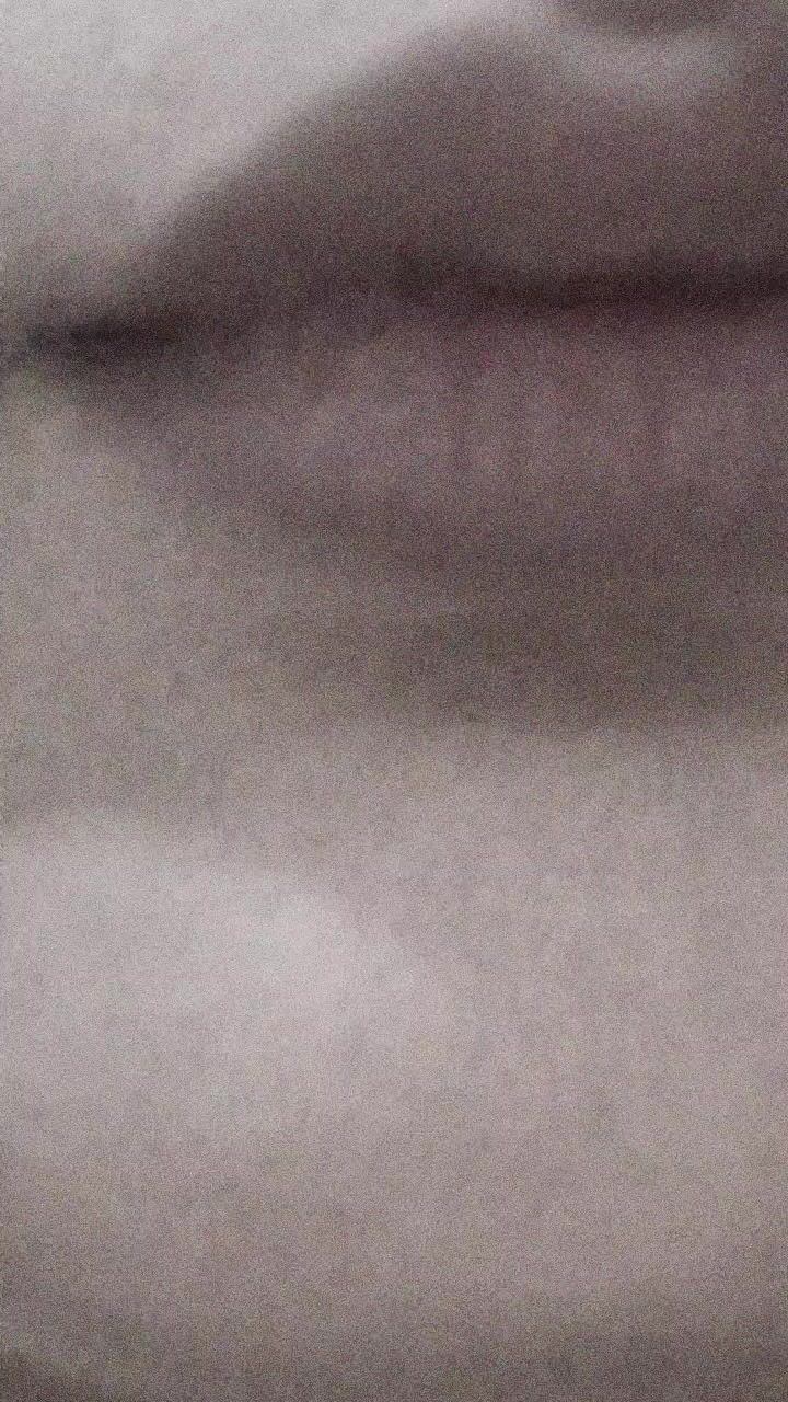 @Zhila Babaei