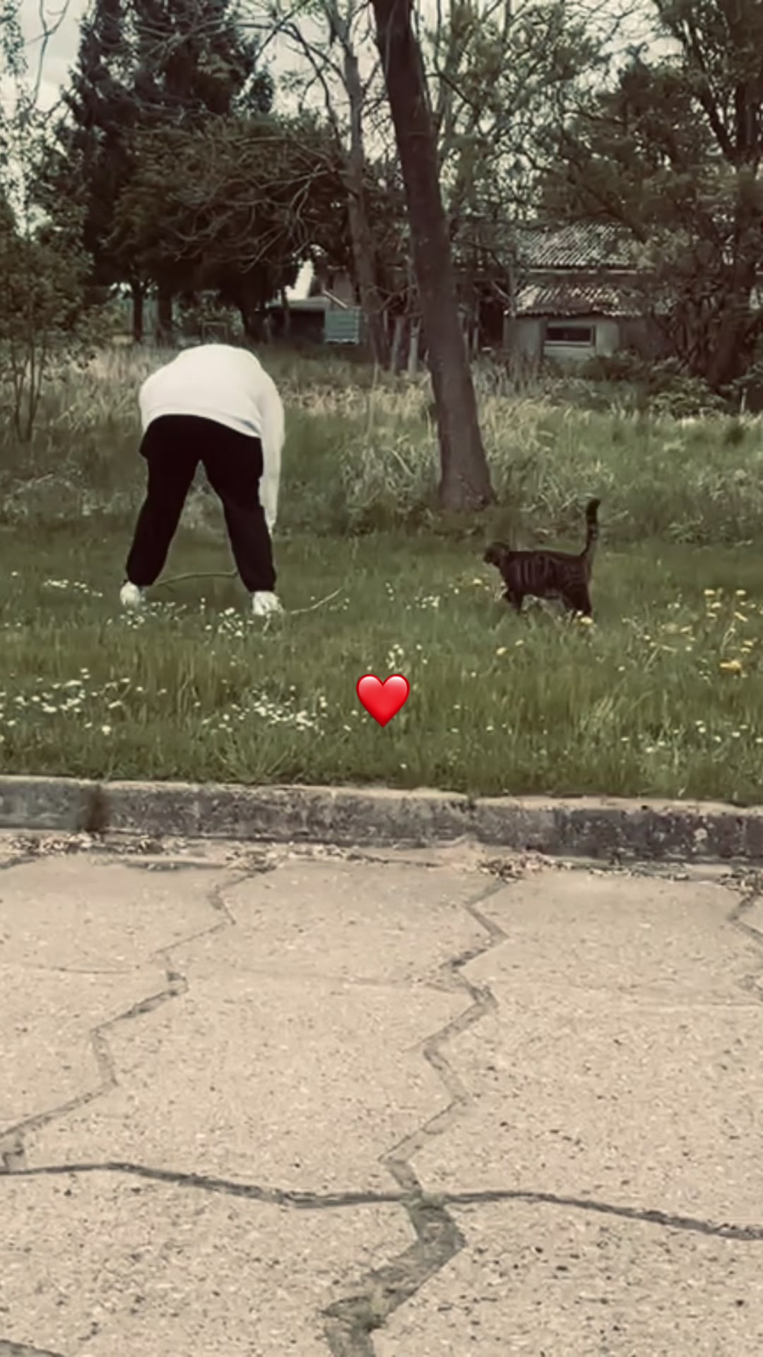 @𝒮 ྀིྀི