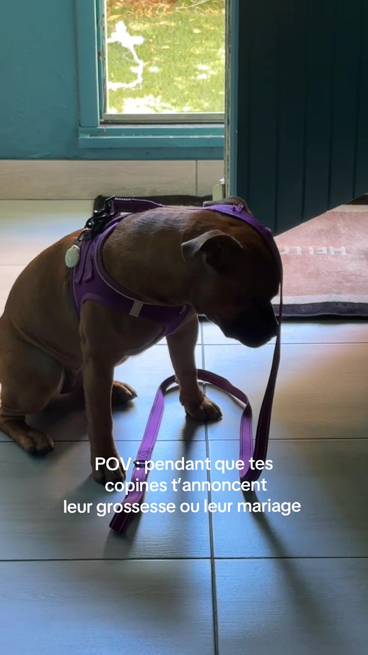 @Les Stories de Sky