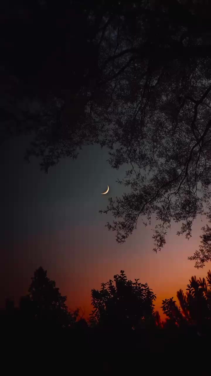 @𝐒ᡣ𐭩࣪⋆