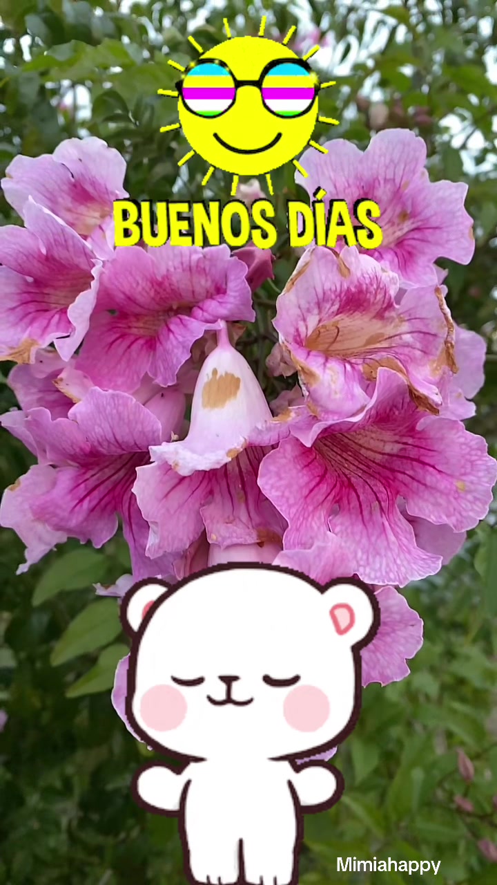 @Mimi