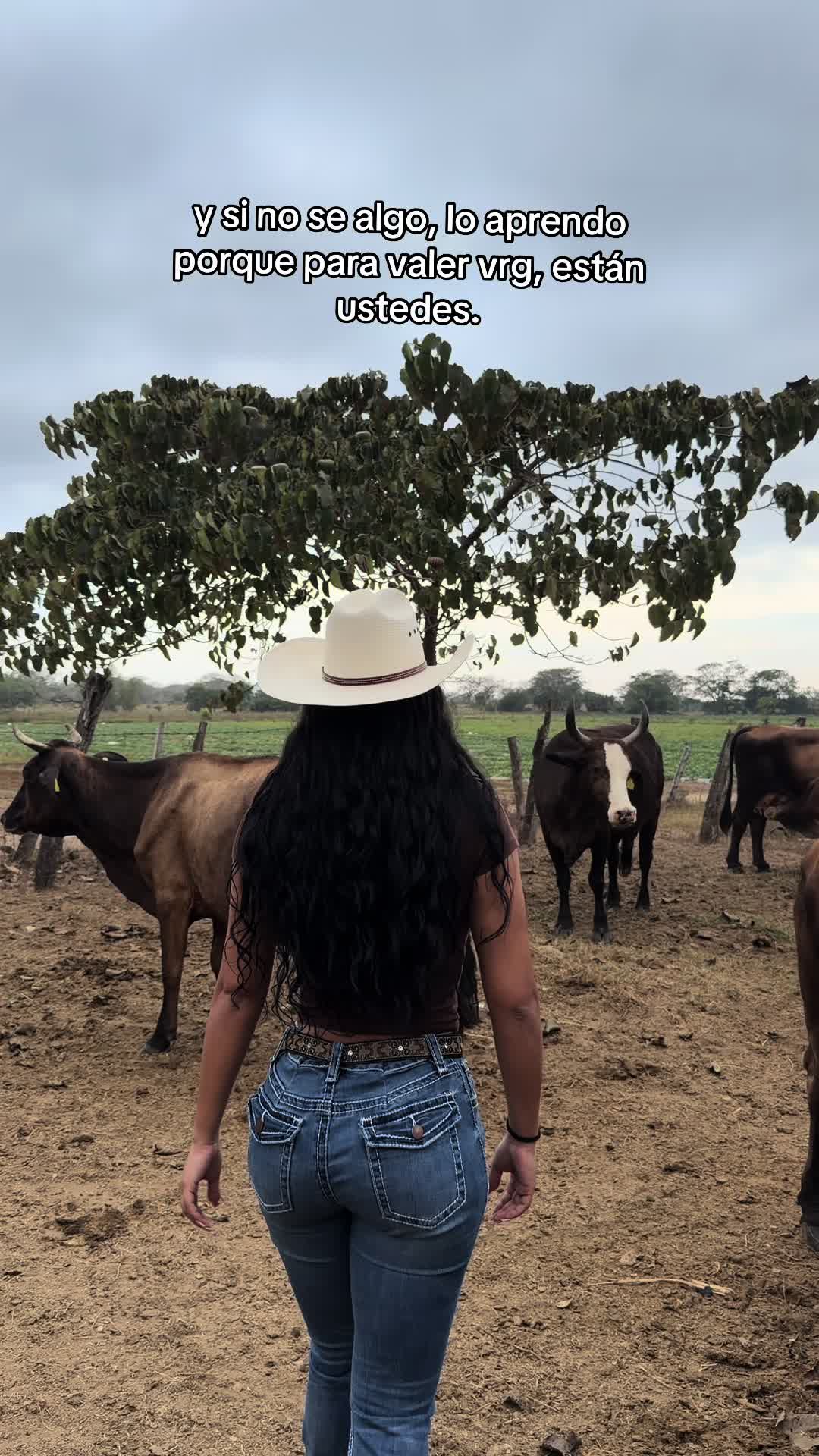 @alejandra.kandy