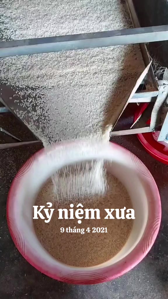 @Chú Lợi
