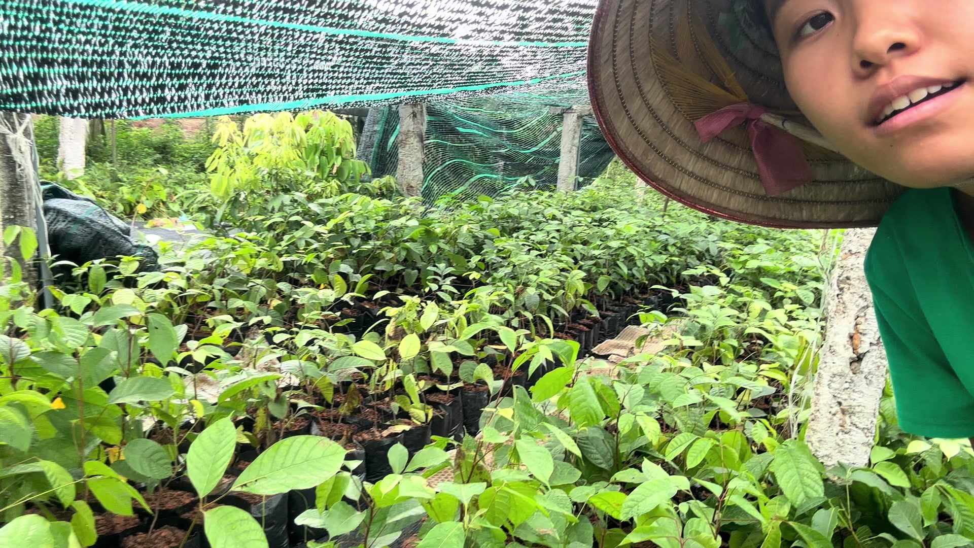 @Nhà Vườn Vũ Mai