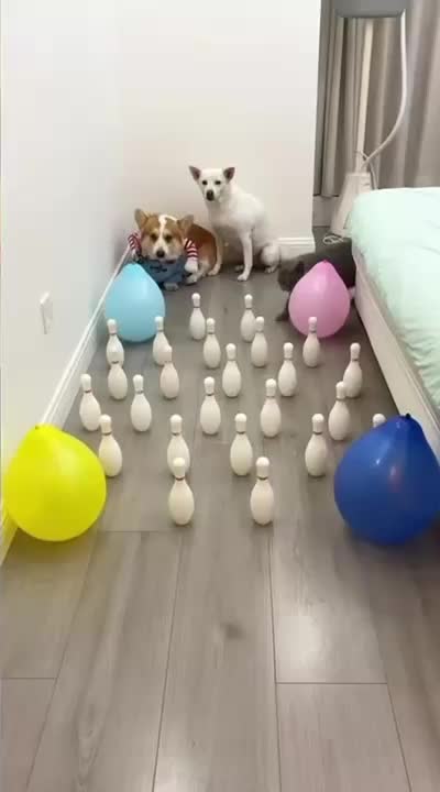 @Funny