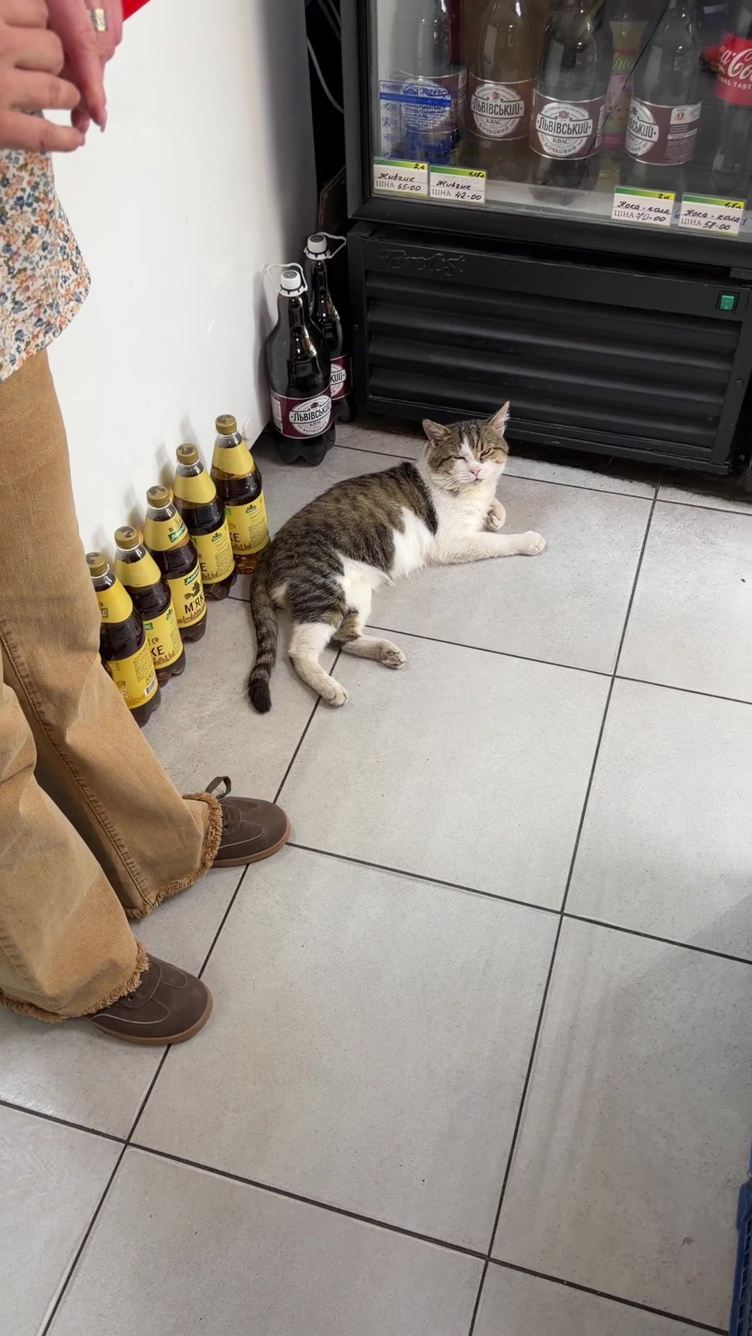 @Магазин «Авокадо» and Мурчік🐱