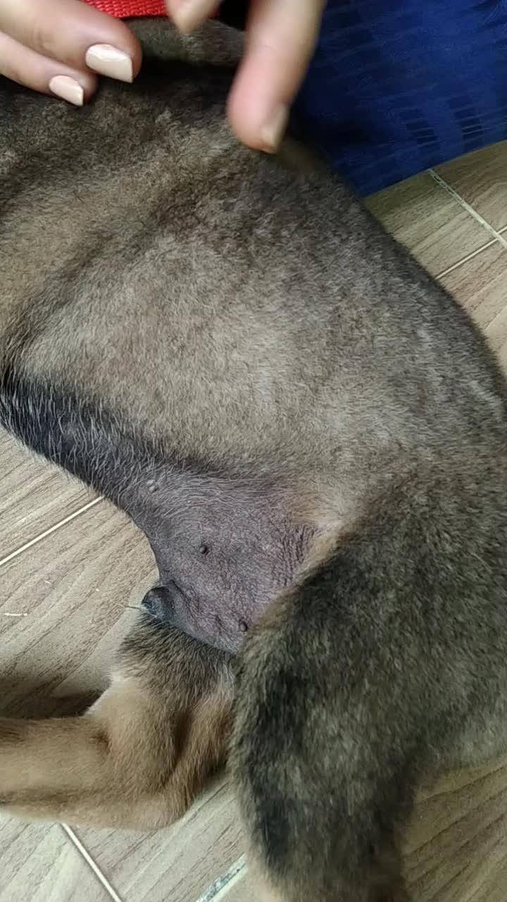 @siuthanh81