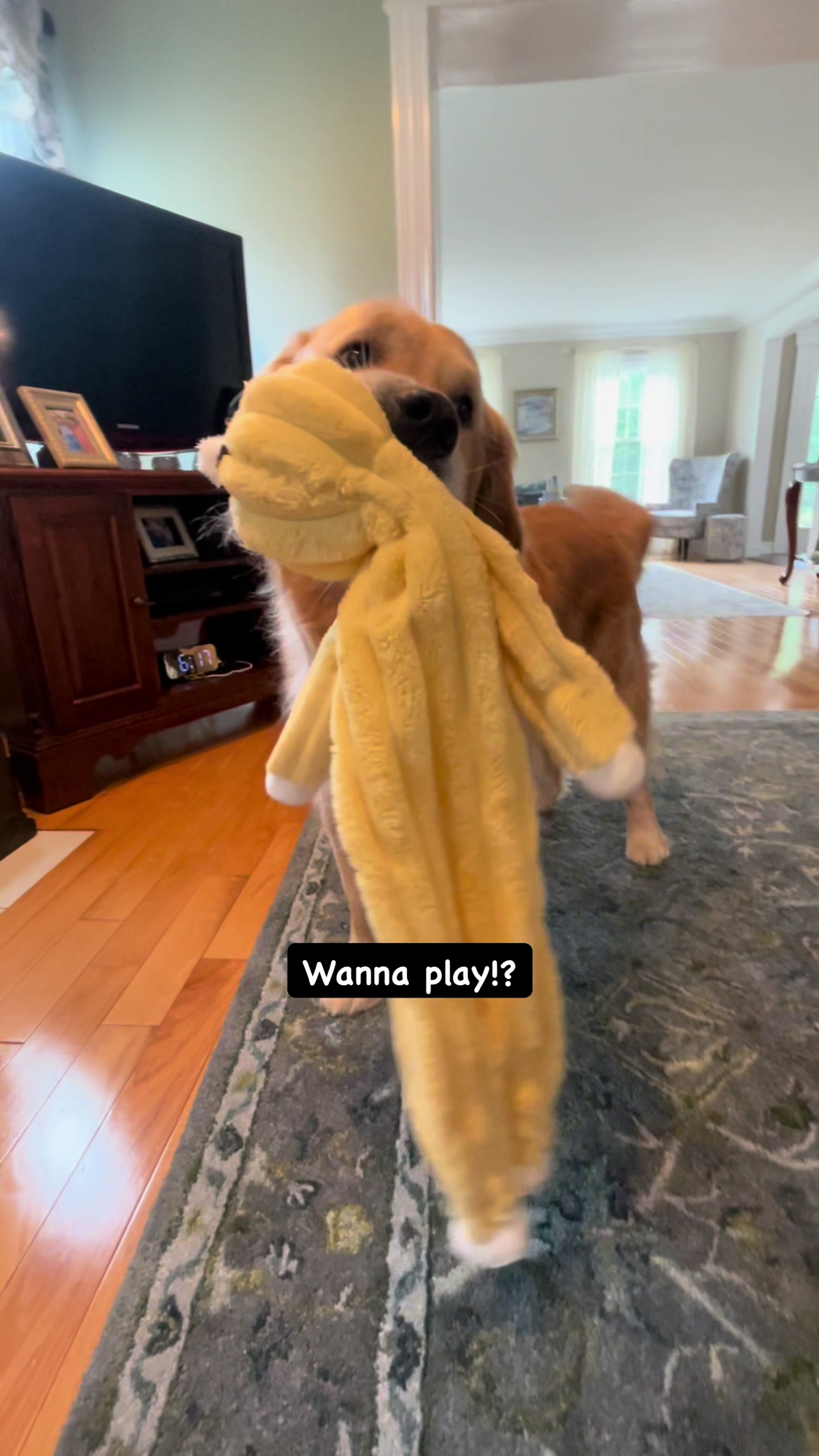 @Finn