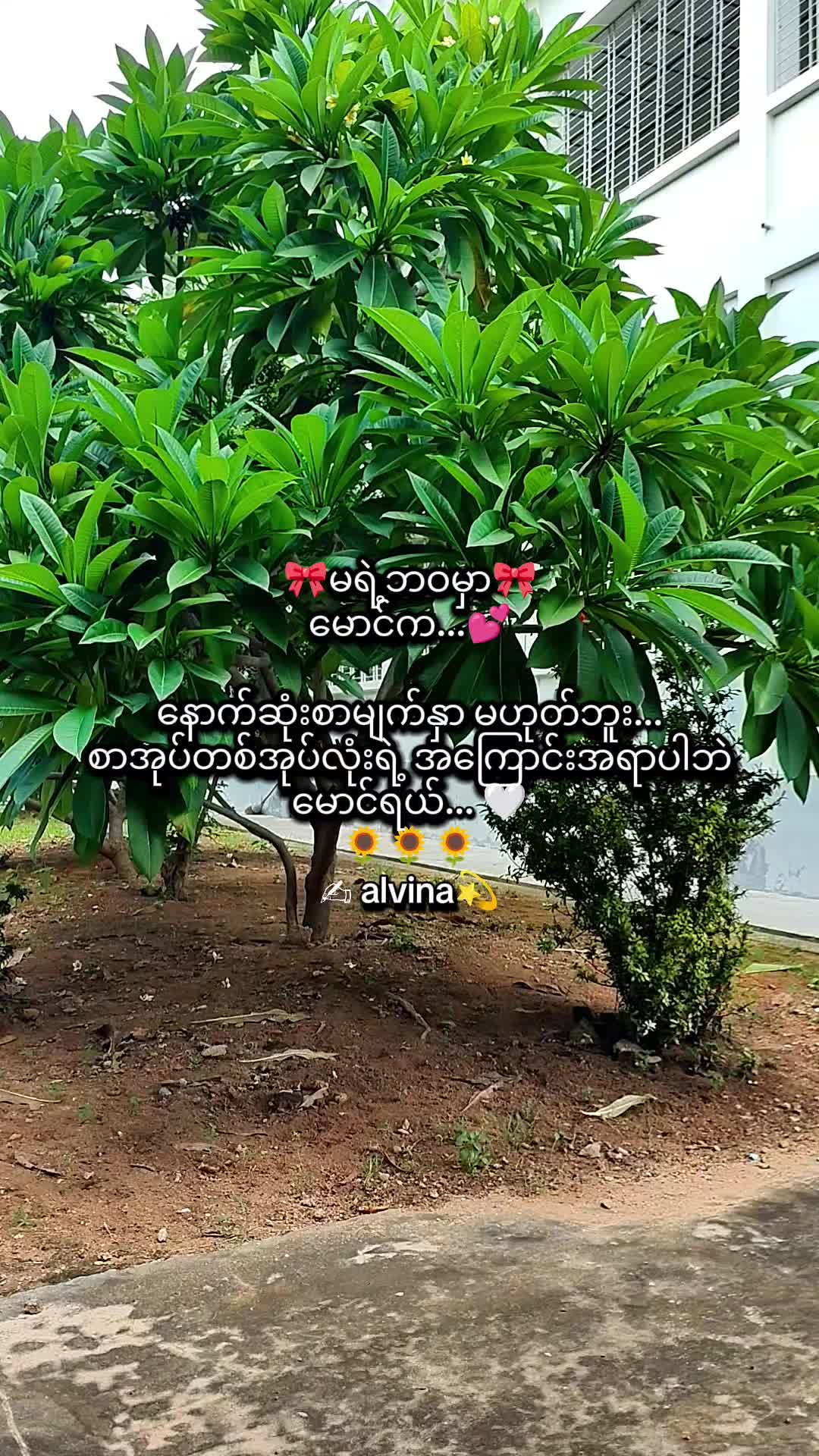@🇯🇵 Alvina💫(အယ်ဗီနာ)💫🇯🇵
