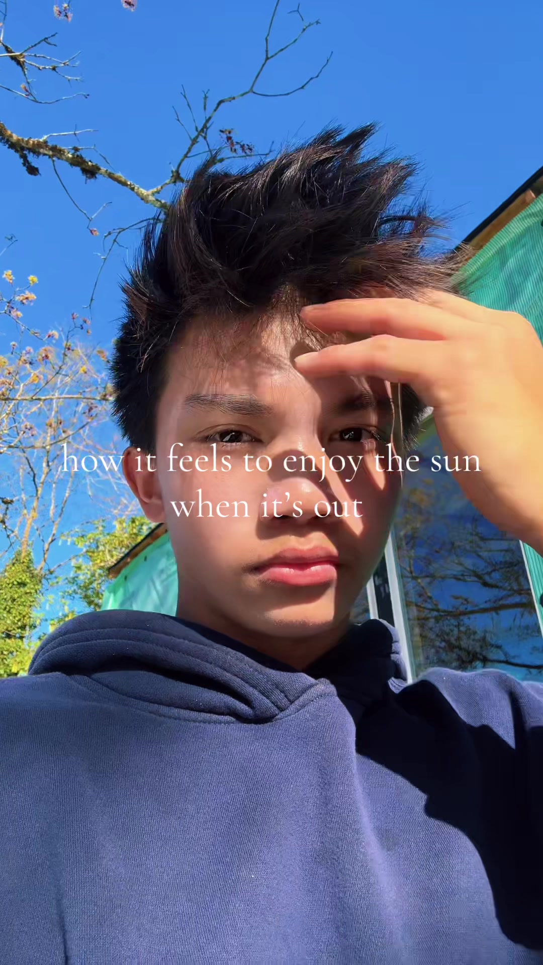 @amadeus.vi