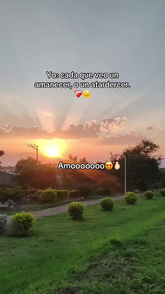 @I V E T T E❤️🩹🇸🇻