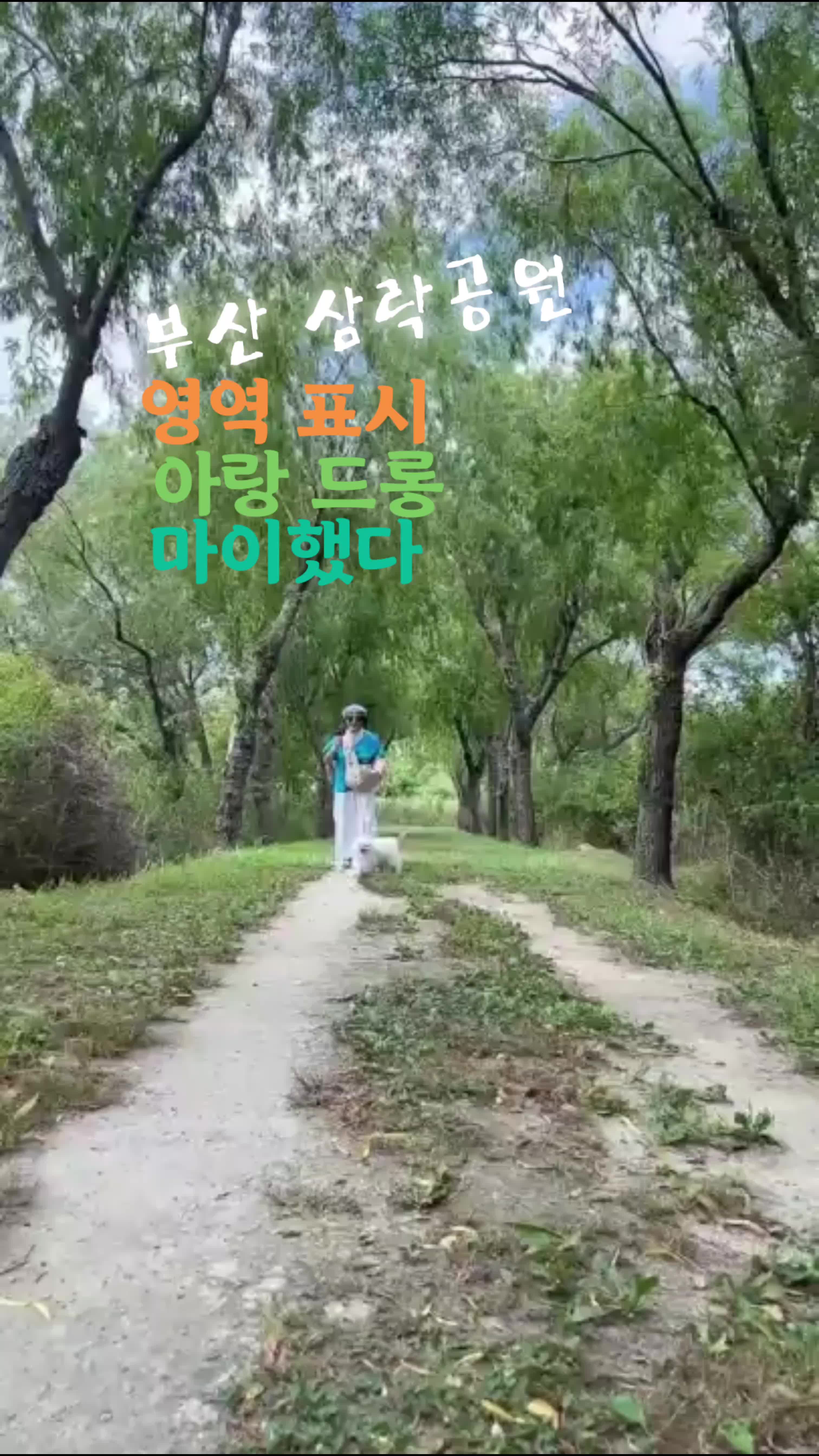 @요리 잘하는 이사임당