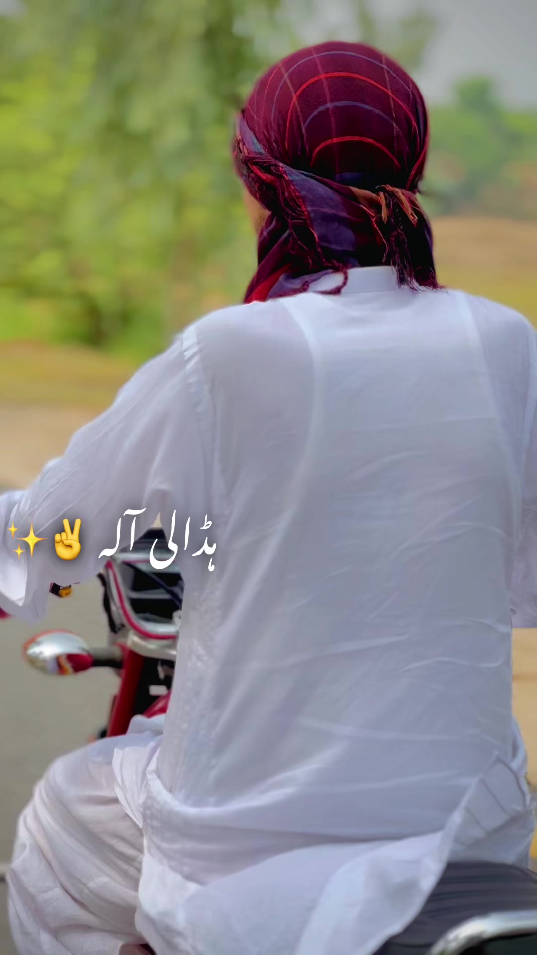 @✨🦅دلاورٹوانہ ہڈالی آلہ🦅✨