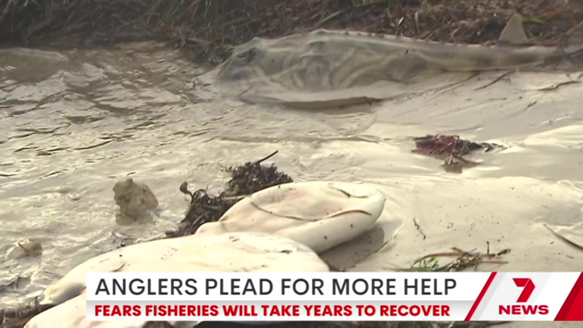 @7NEWSAdelaide