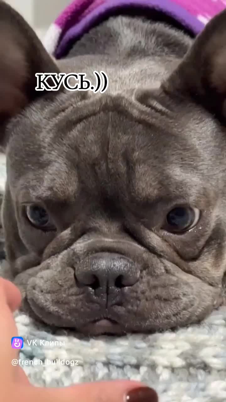 @🤗Леночка