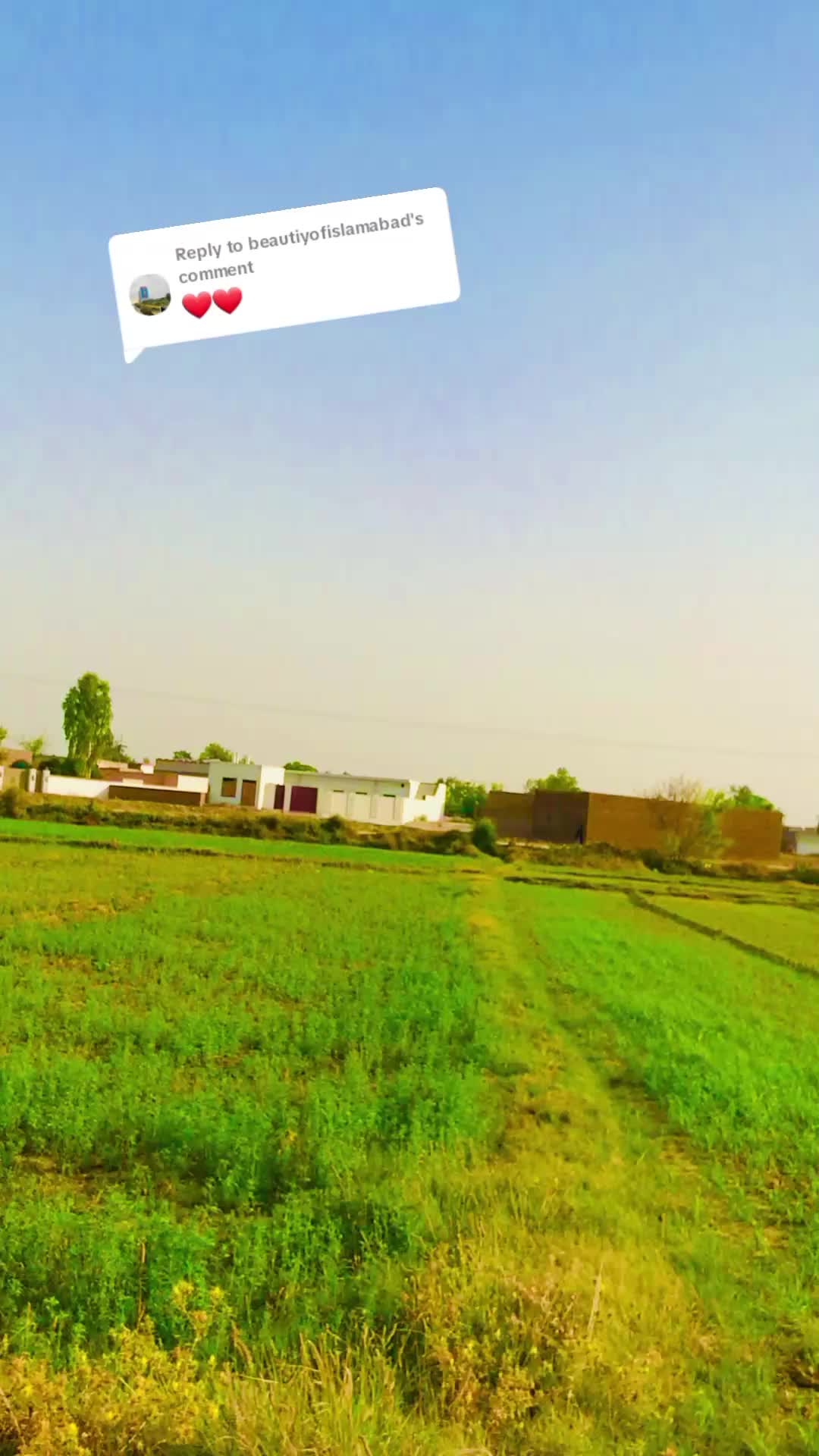 @🥰🚩bhAkkar view786🚩😍