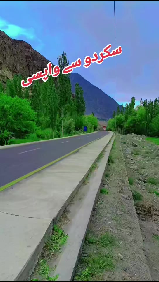 @sajid6699