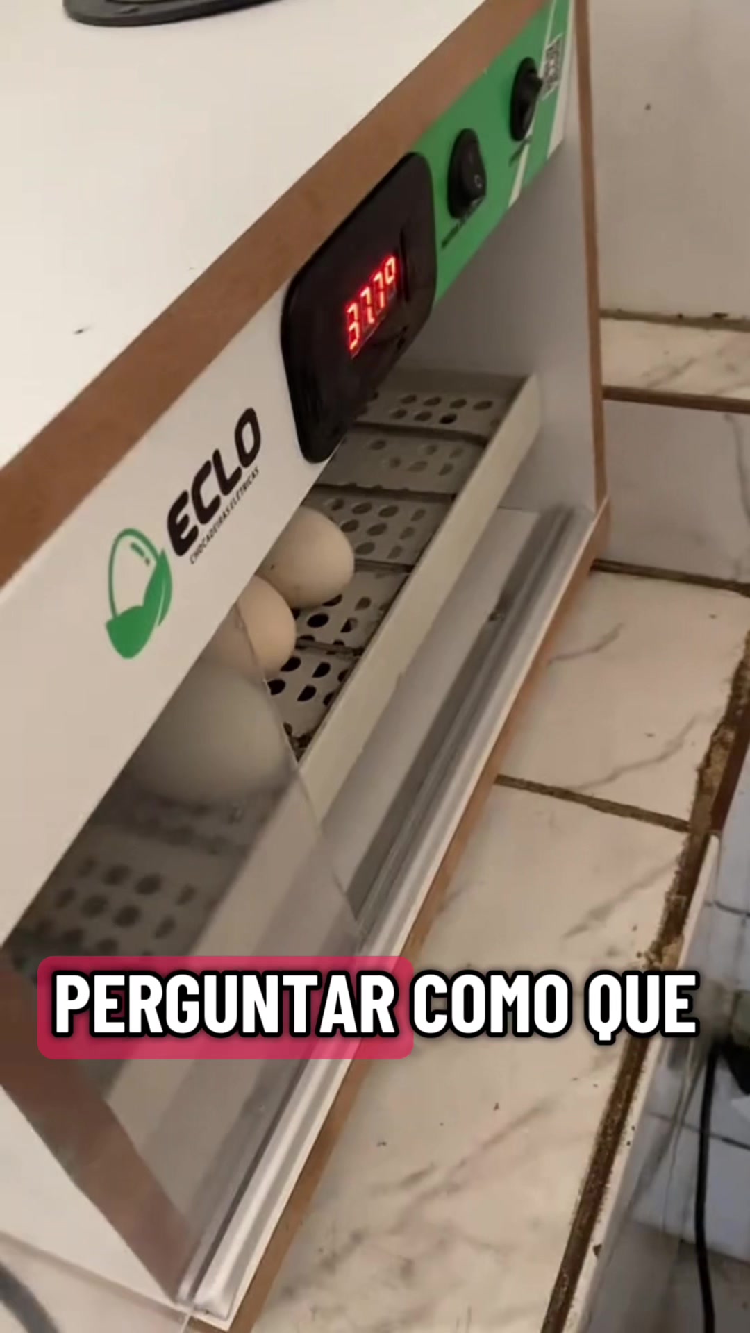 @gordimvideos