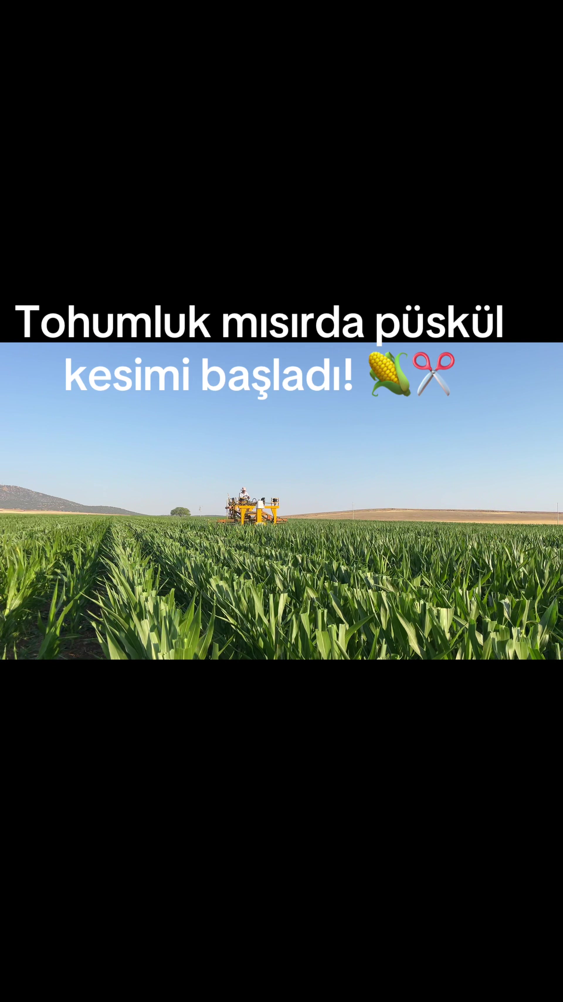 @İsmail EFE