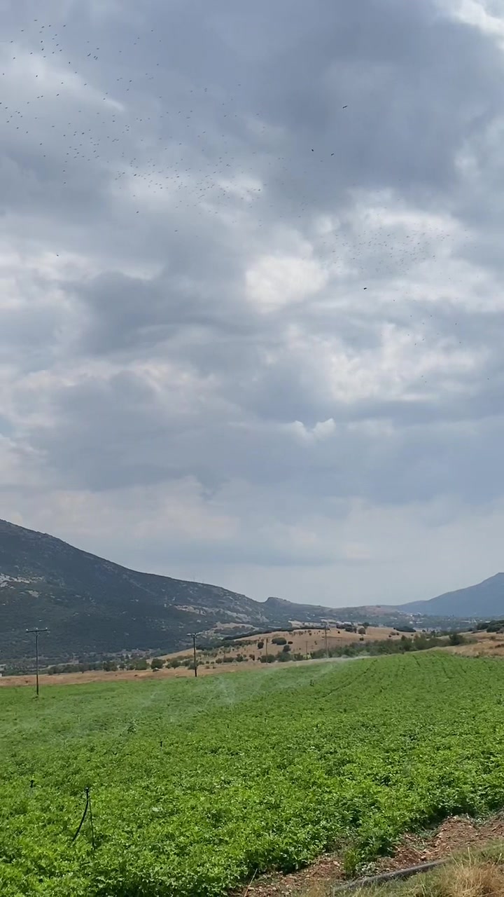 @Hidayet Öztoprak03