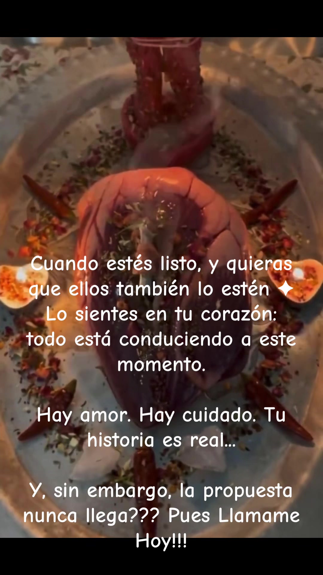 @En Las manos de San Judas
